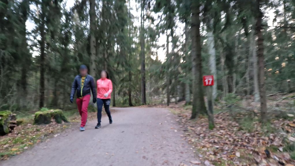 Viaporin maarintaman rauniot: Pakilanmetsä