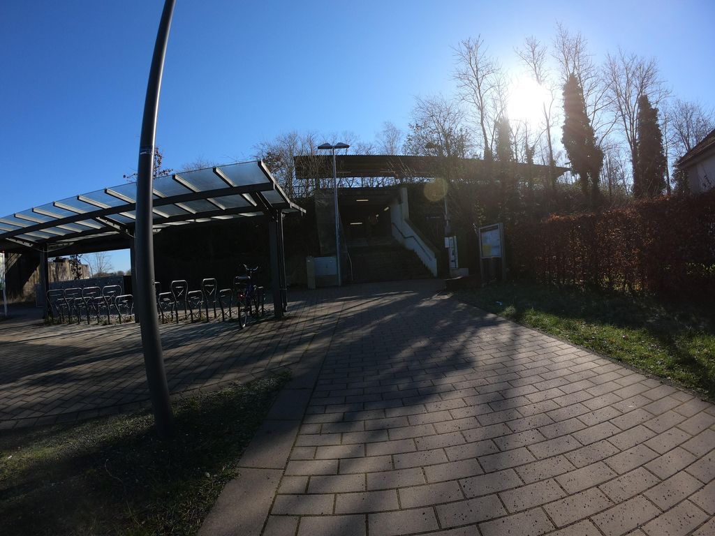 ~Dorsten