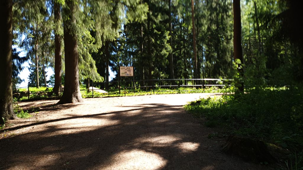 Viaporin maarintaman rauniot: Nuotiopuisto