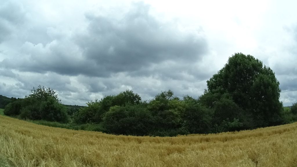 ~Heusweiler