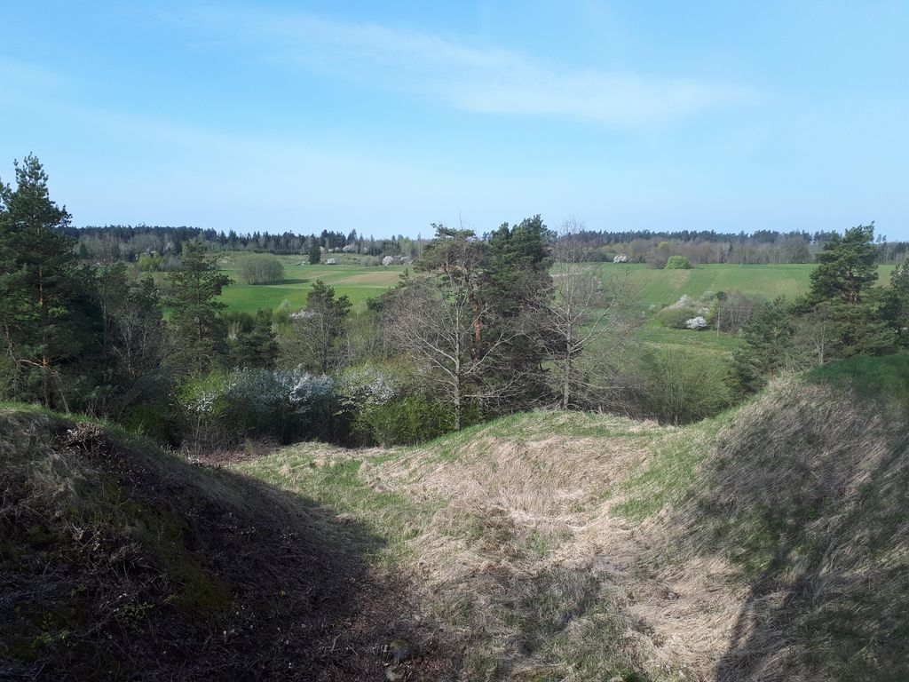 Bunkeris