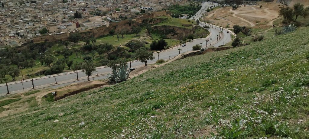 Tombeaux Mérénides قبور المرينيين