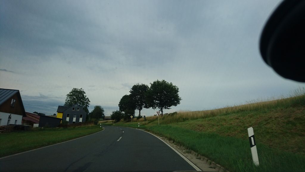 Weidesgrün