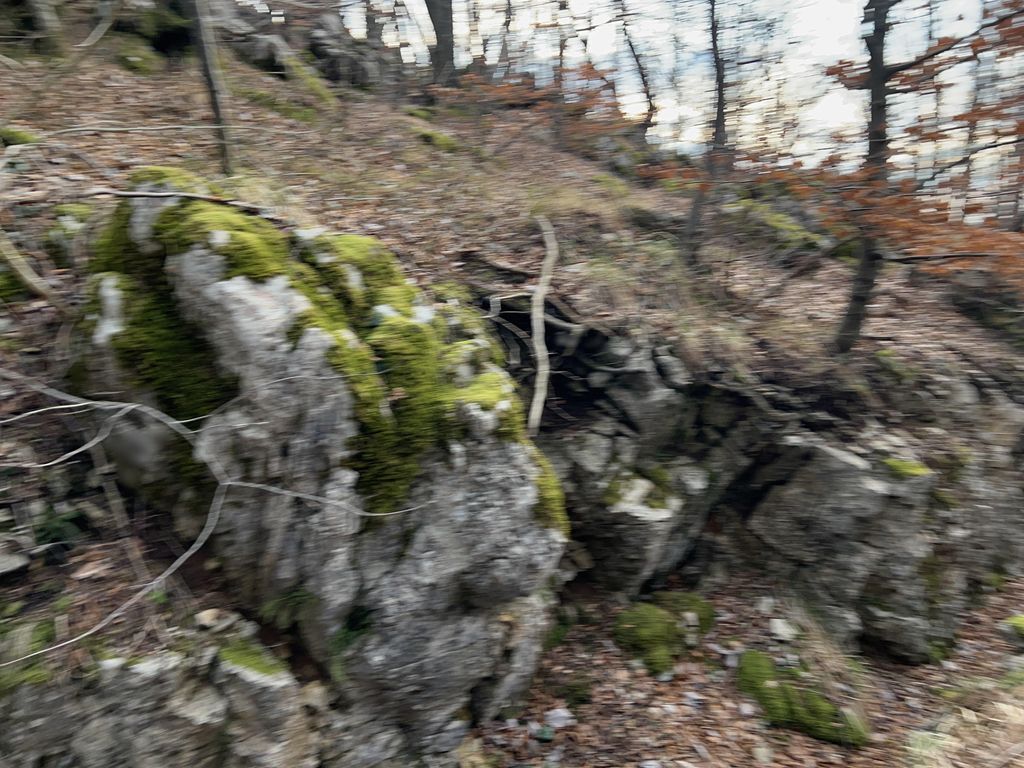 Alpski zid, zaklonišče R2 ID 2-147