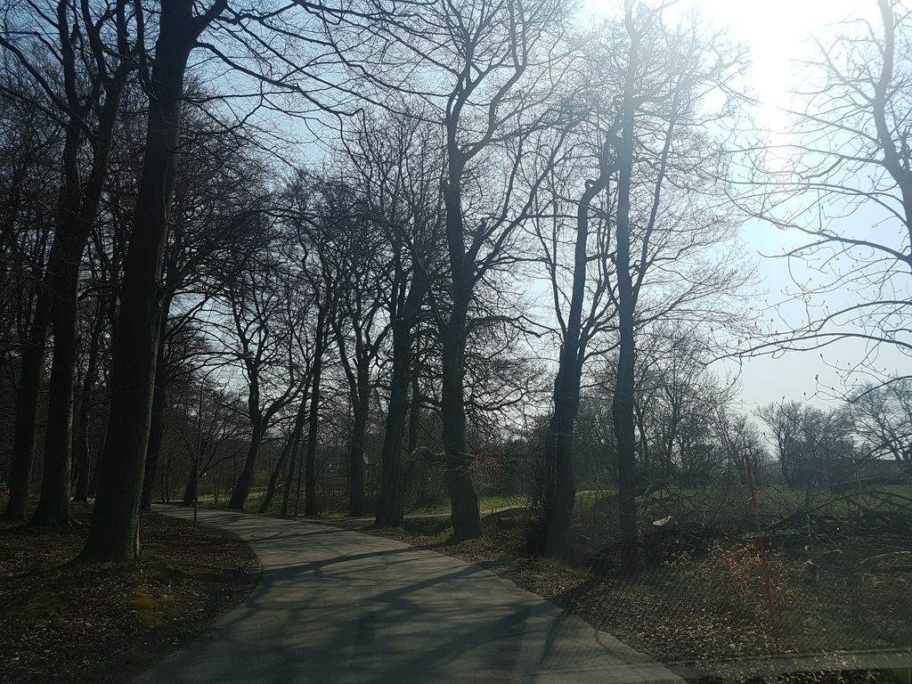 Pålsjö upper light