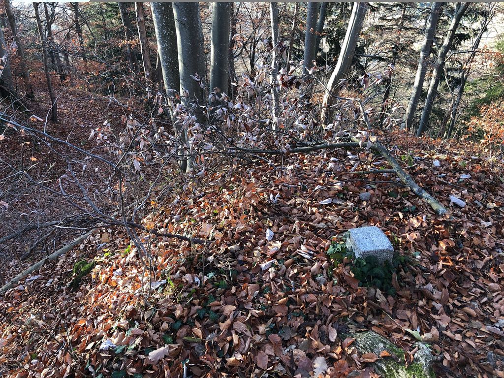 Frundsburg