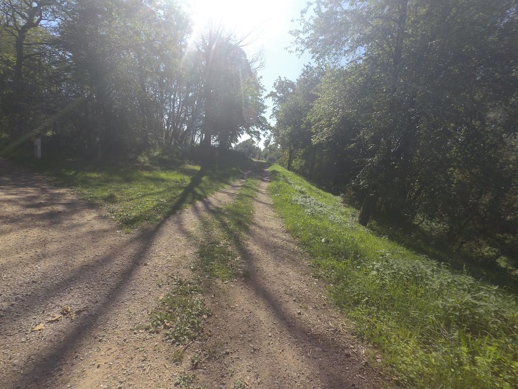 ~Blodelsheim