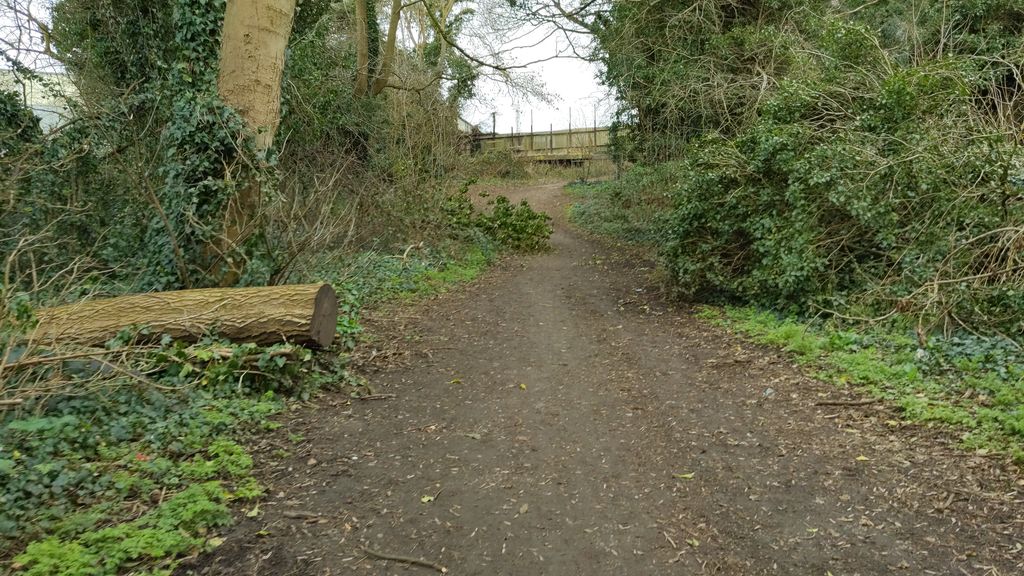 Godwin's Halt railway station