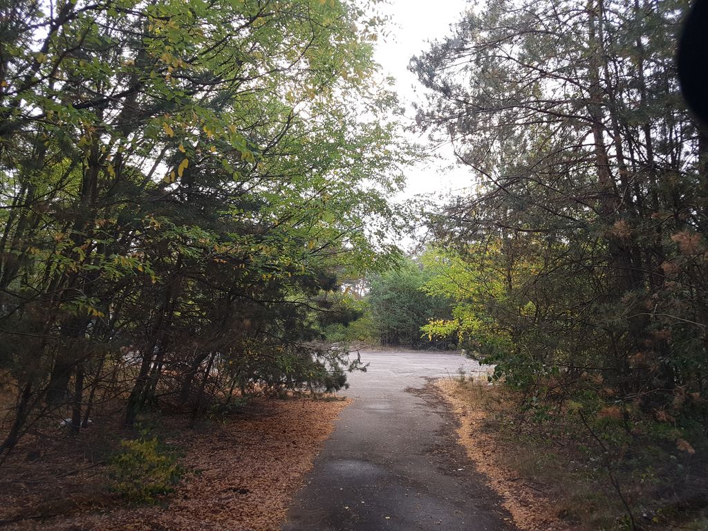 ~Finsterwalde