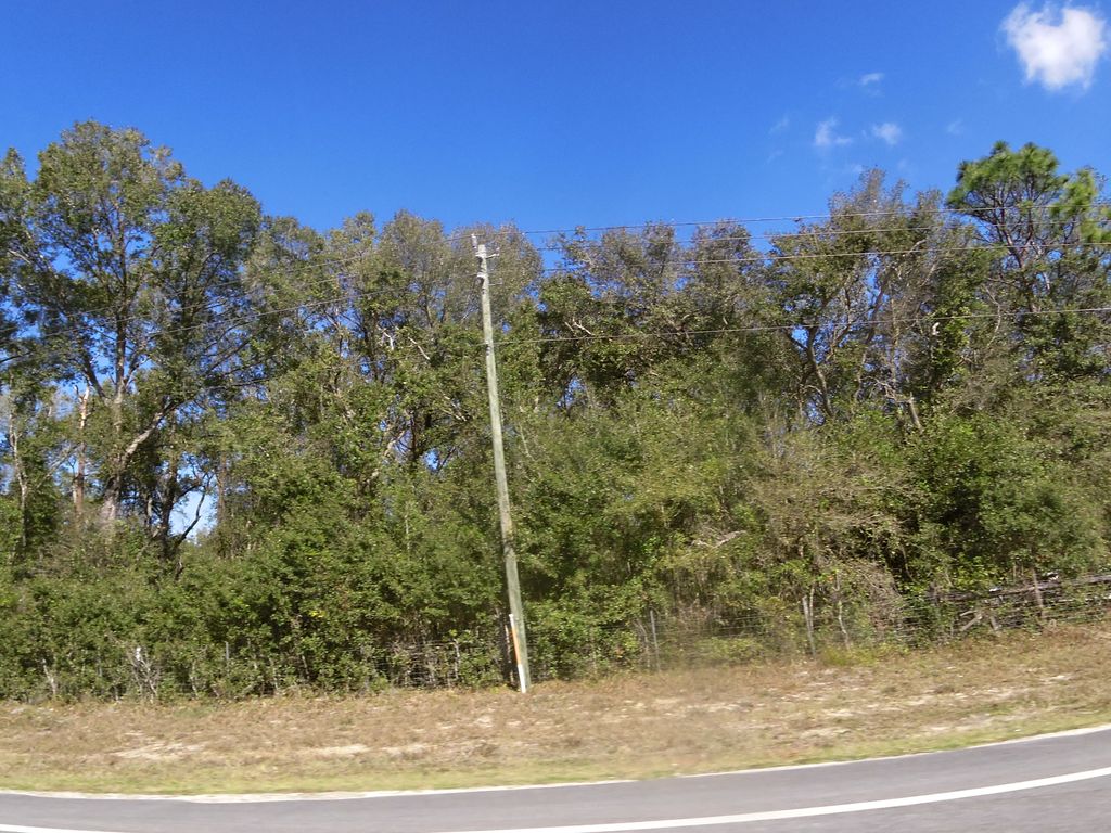 Sisco, Florida