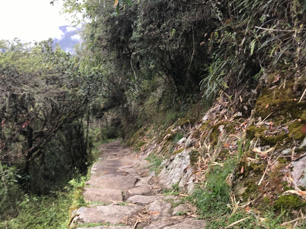 Intipunku