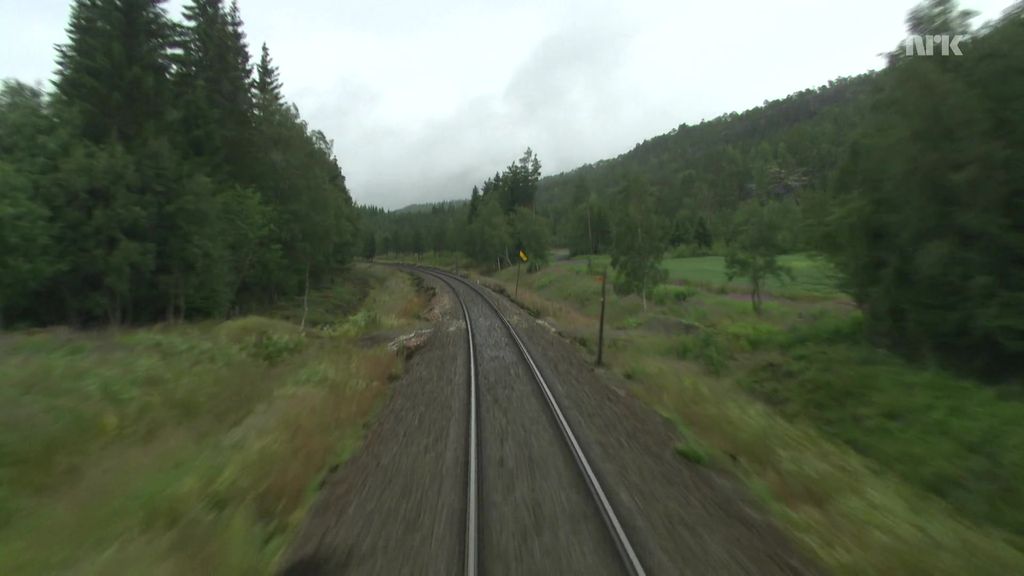 Formo railway halt