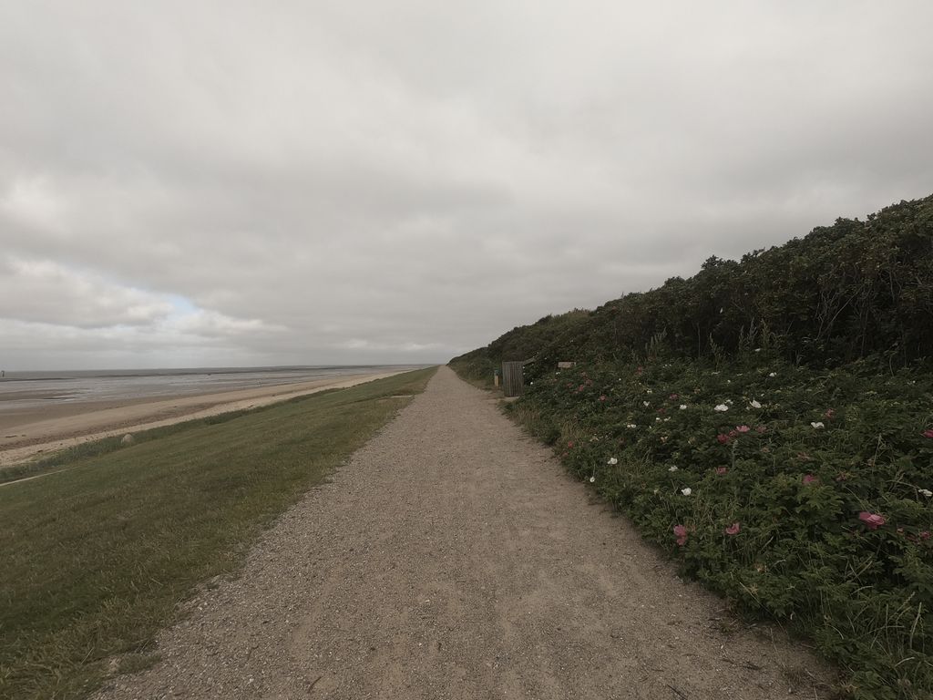 ~Esbjerg