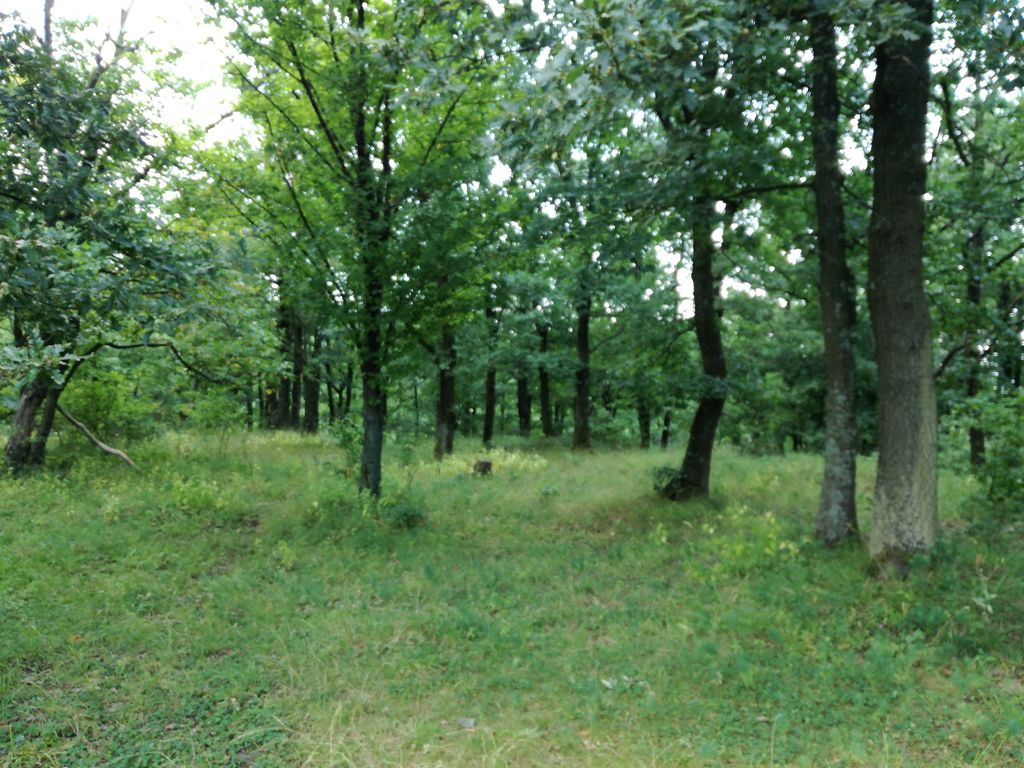 Benevár
