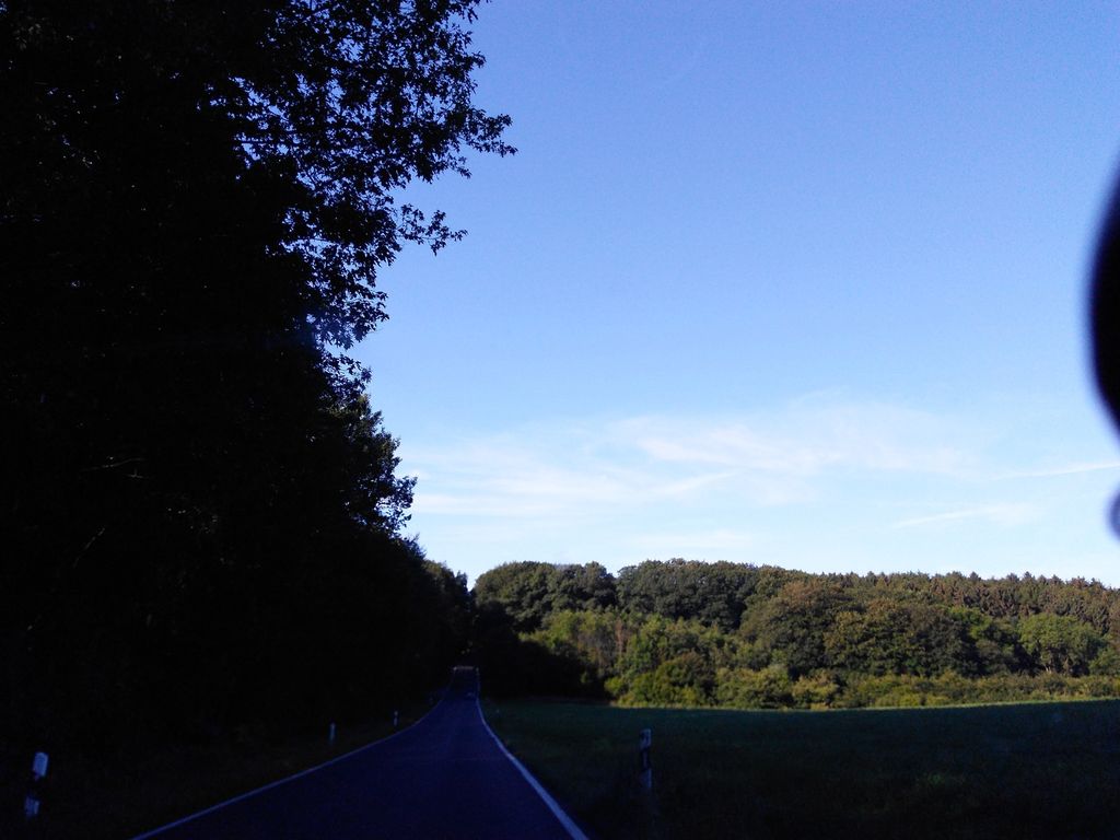 Gebrannten