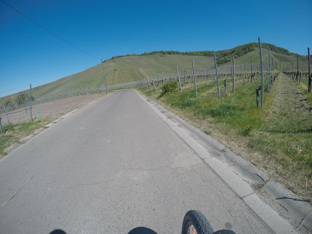 Immenrodt