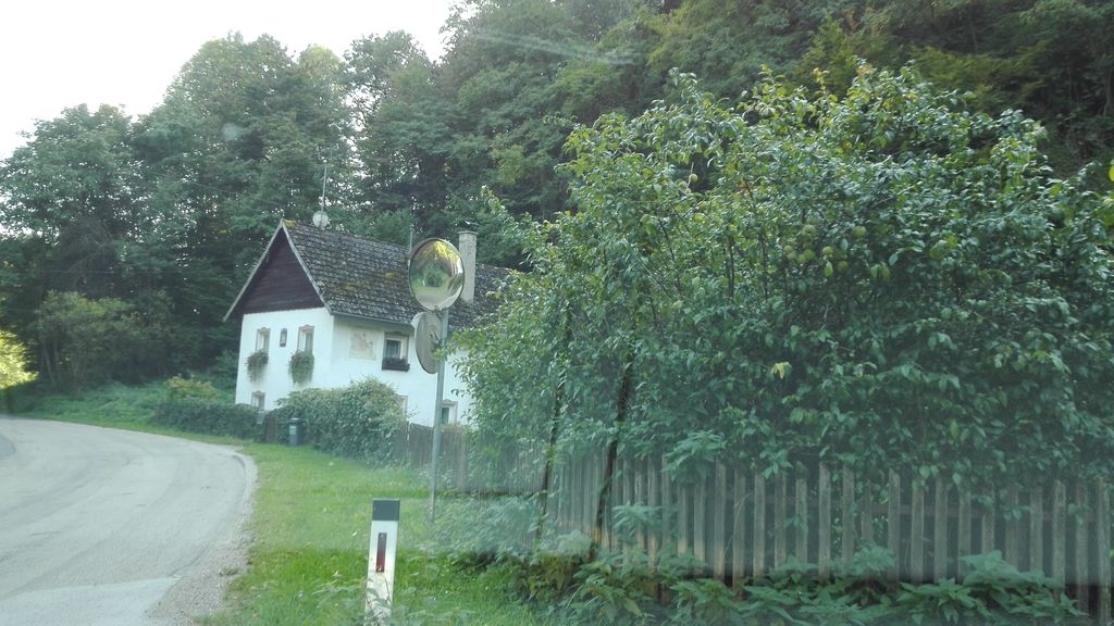 Burgruine Windegg