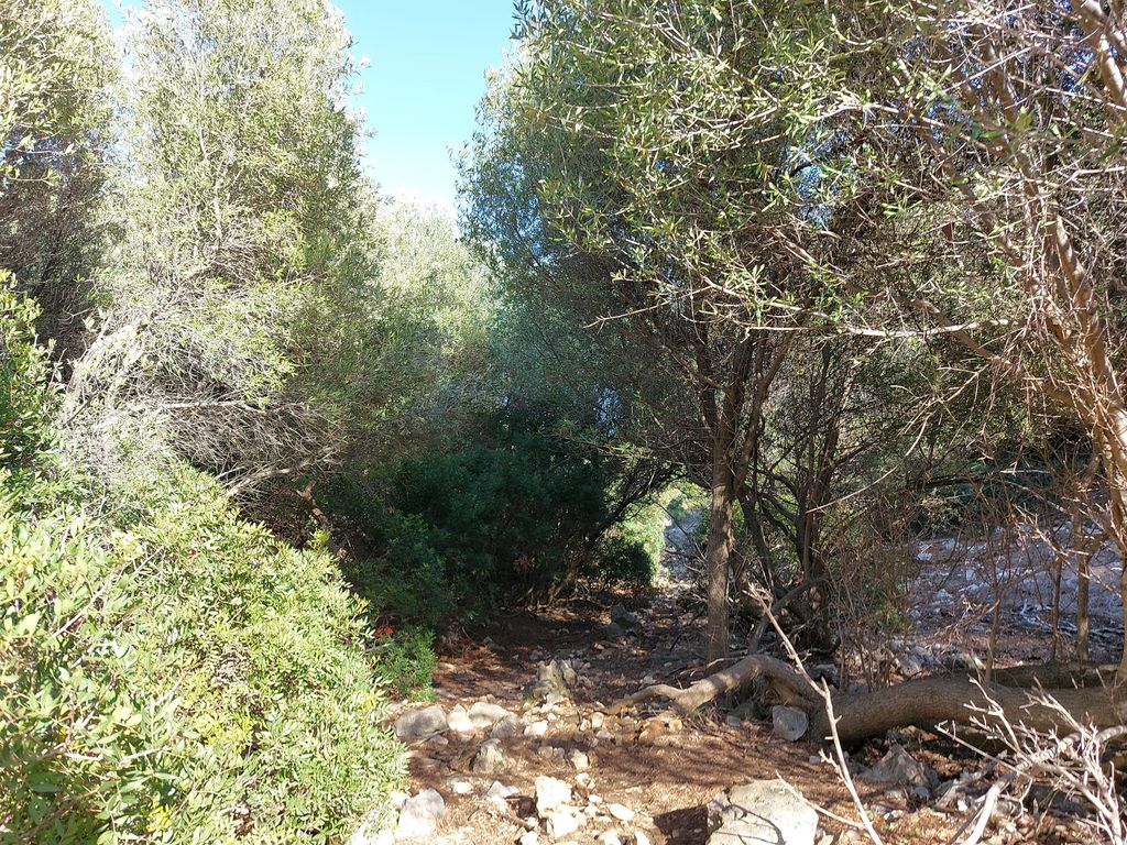 ~Lastovo