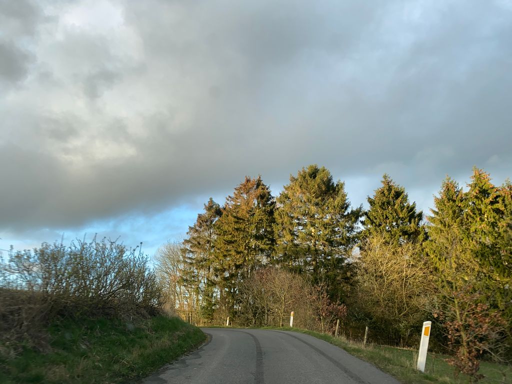Aasbækbro Trinbræt