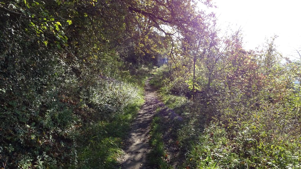 Teufelskanzel