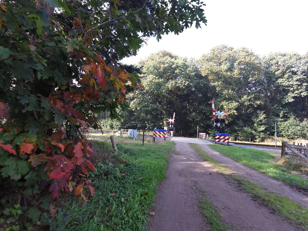 Stillewald Halt