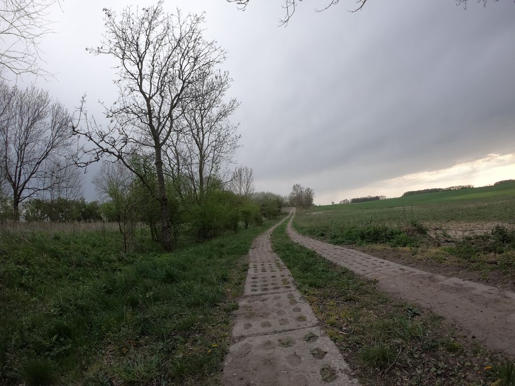 Niedźwiada (województwo warmińsko-mazurskie)