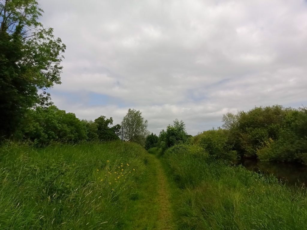 Clogrenan Castle (ruins)