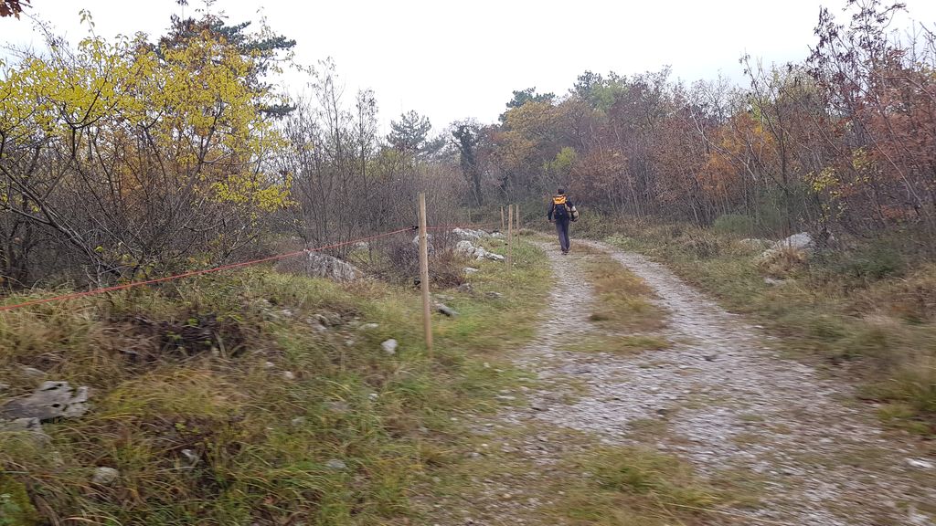 ~Doberdò del Lago