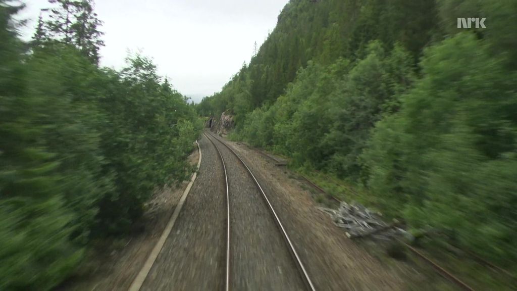 Selhornvik station