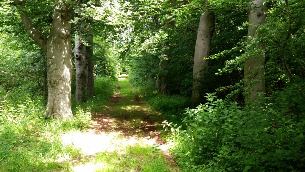 ~Oostdorp