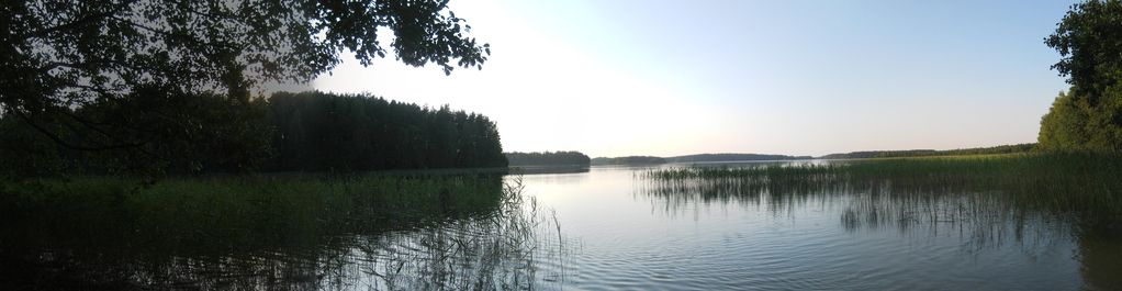 Koniec Boru