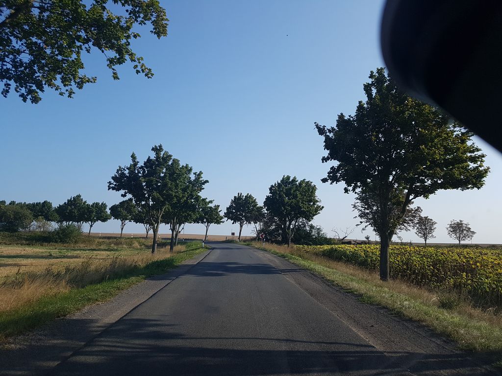 Kardeleben