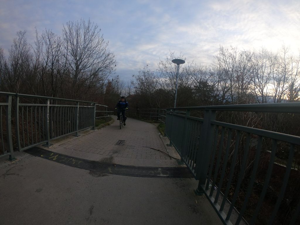 Leipzig Schwartzestraße railway stop
