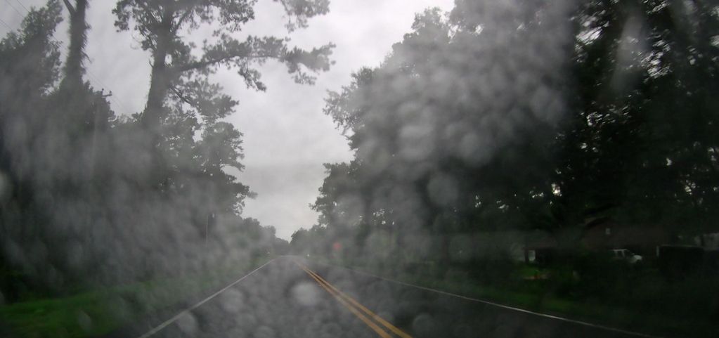 Thalmann, Georgia
