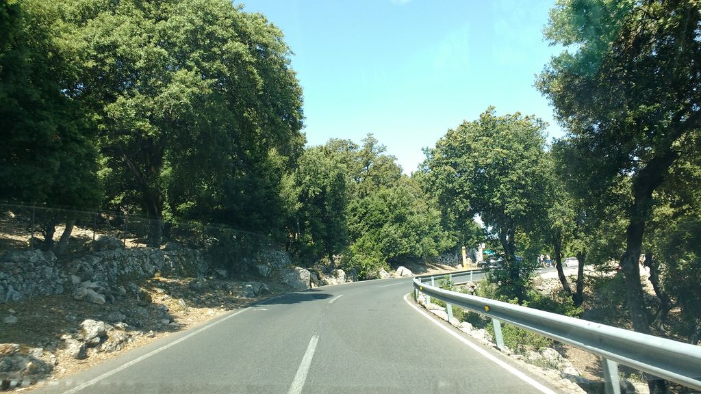 Necròpoli de sa possessió d'Escorca / Es Palau