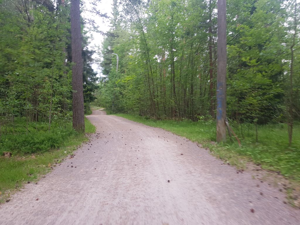Viaporin maarintaman rauniot: Pirkkola