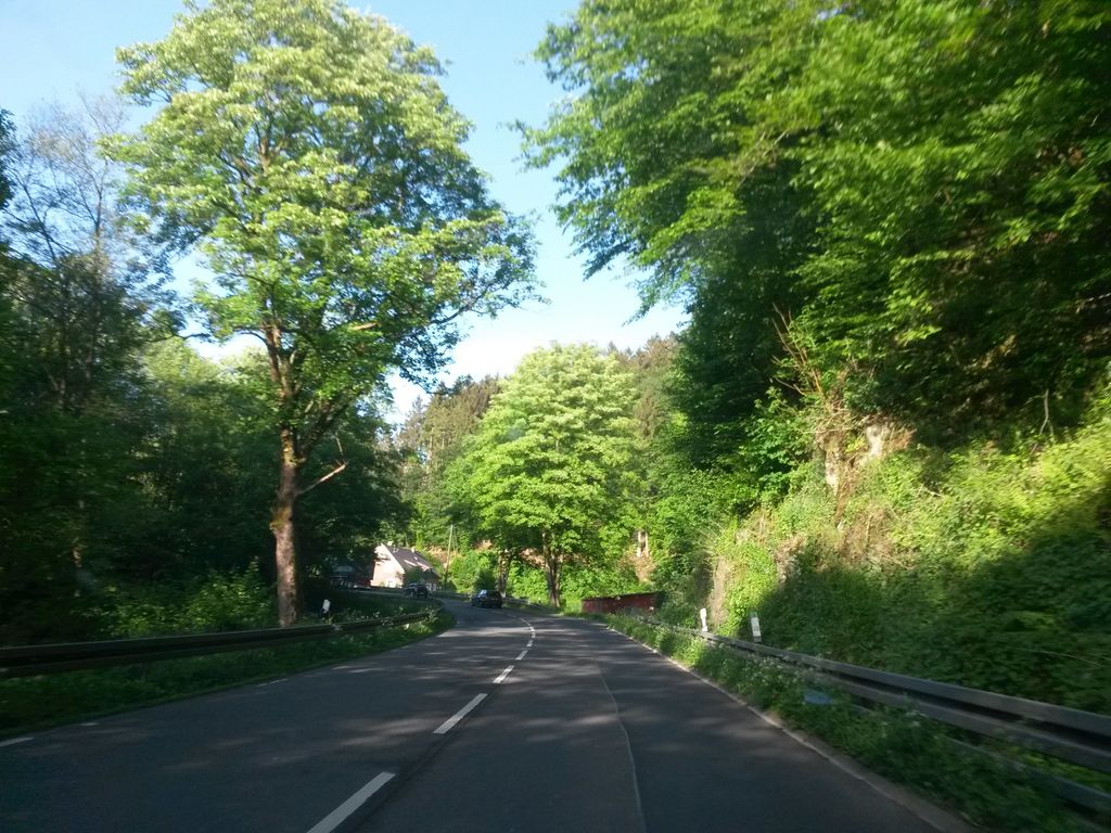 Burg Bieberstein