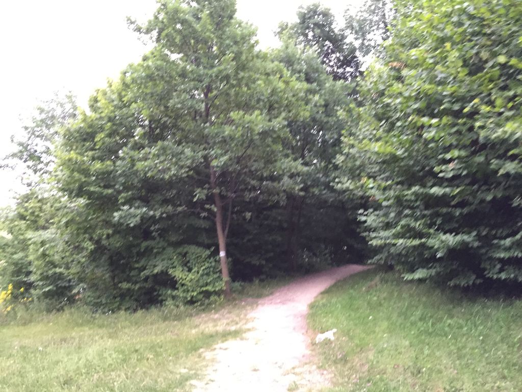 ~Ogrodzieniec