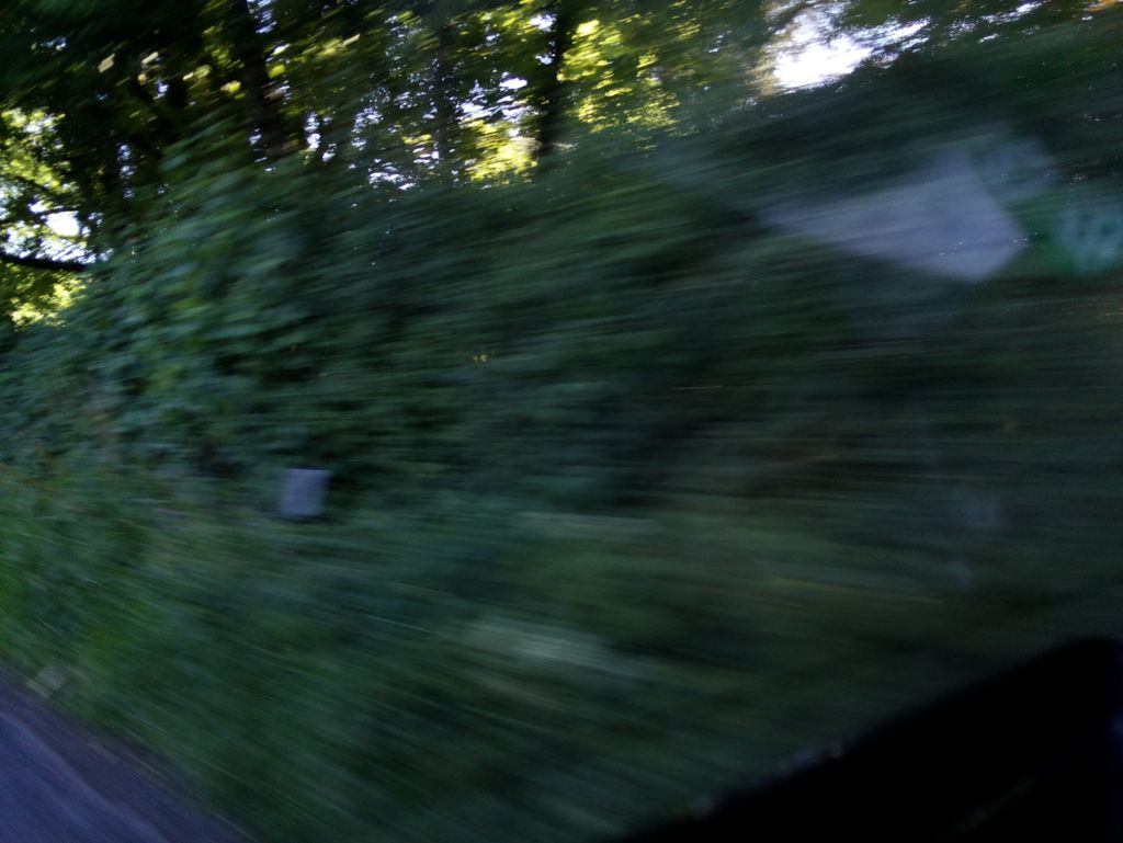 Newland railway station