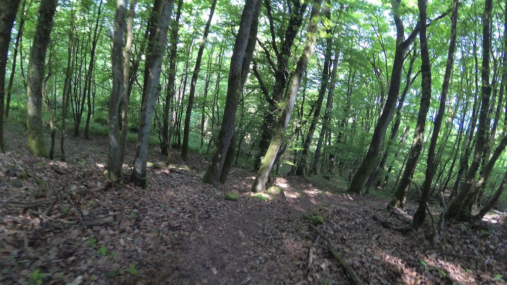 ~Mainzweiler
