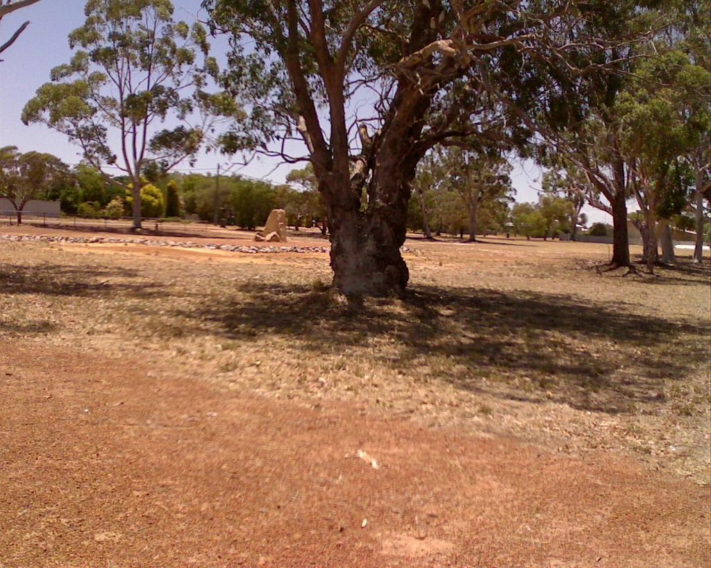 Quairading State School
