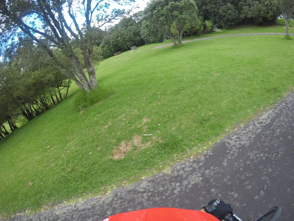 Auckland Openair Cinema