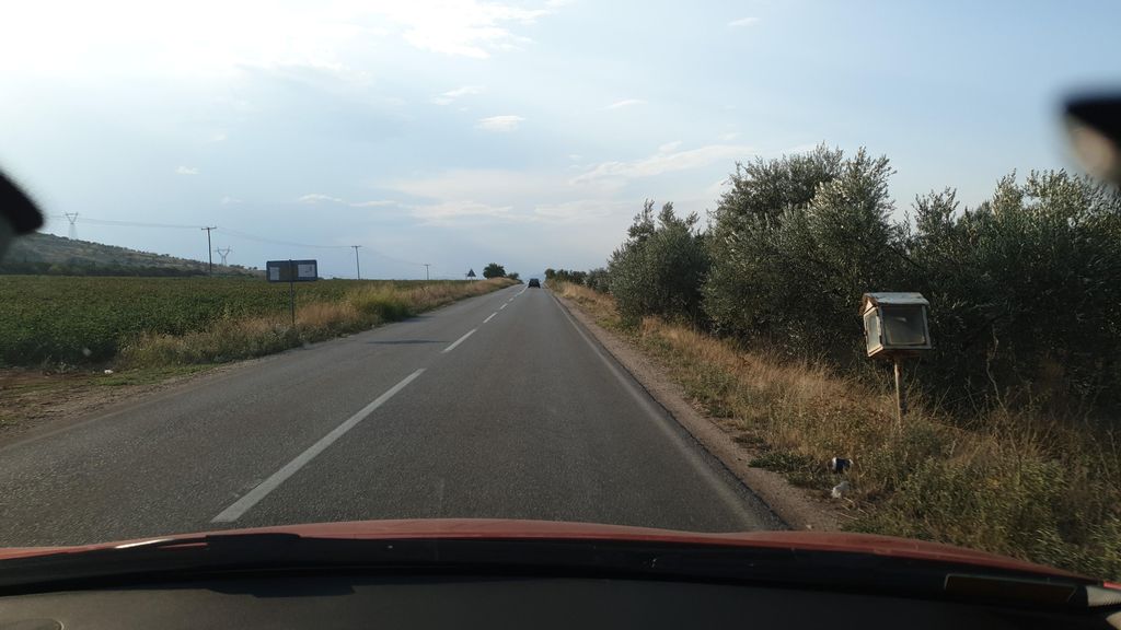 Άλος (αρχαία πόλη)