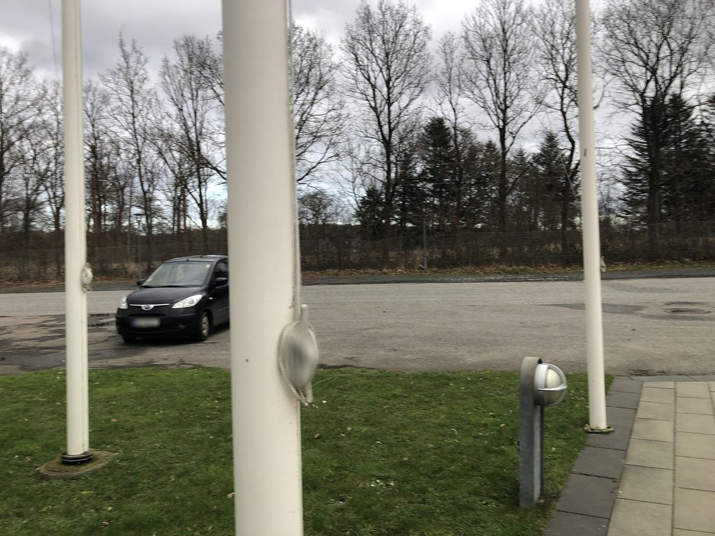 Pjedsted Trinbræt