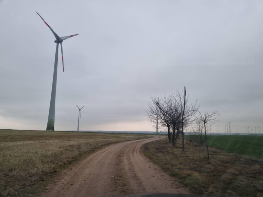 Börnicke (Fläming)