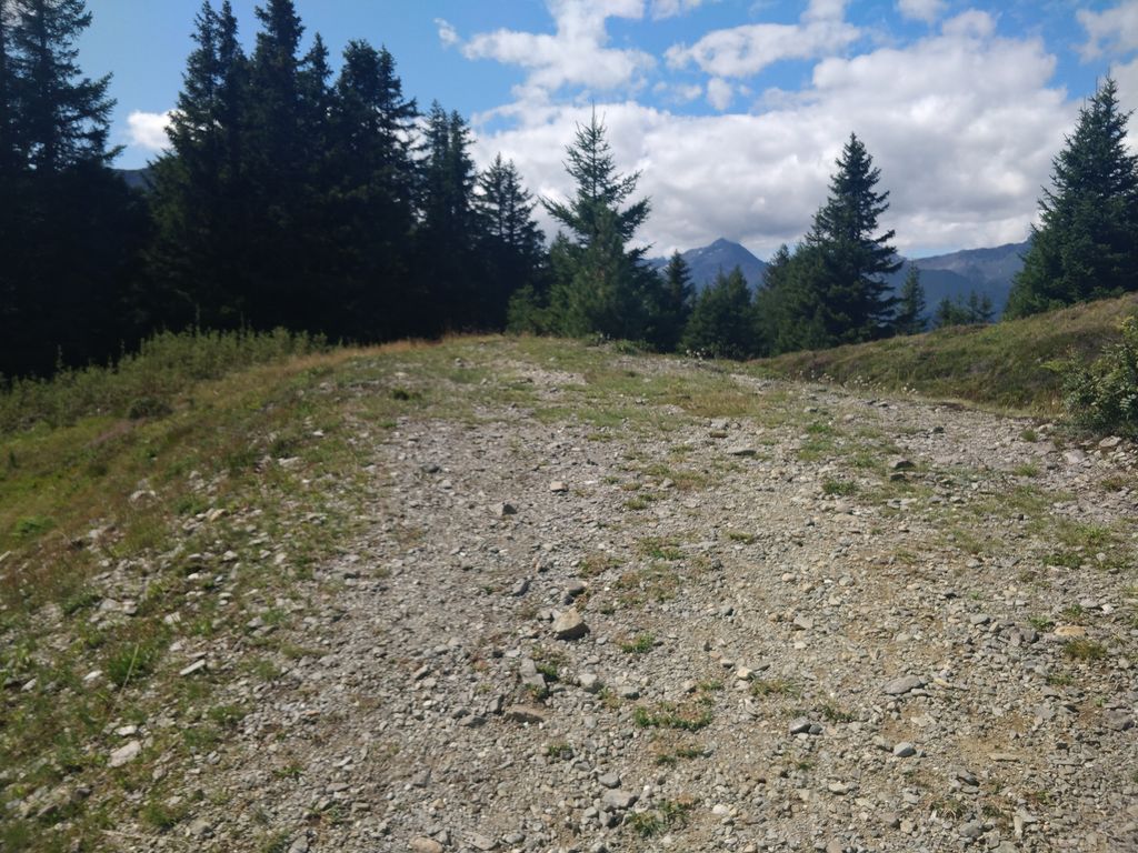Panzersperre Plamort