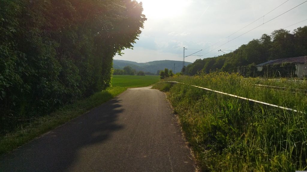 Gambach (Main)