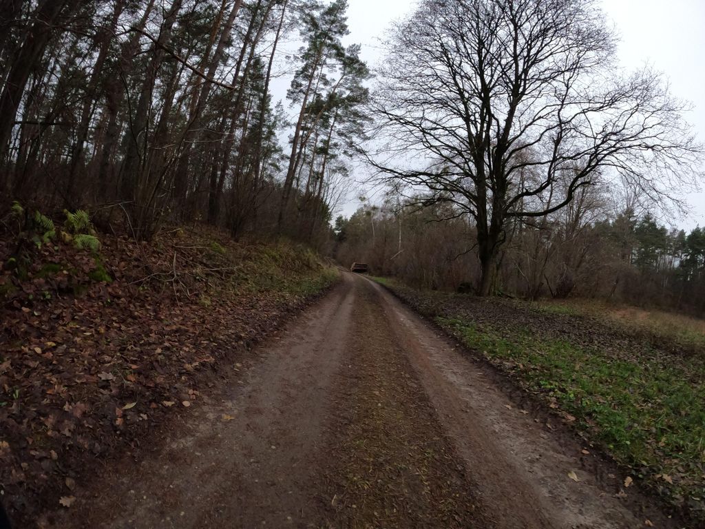Kiełpinko