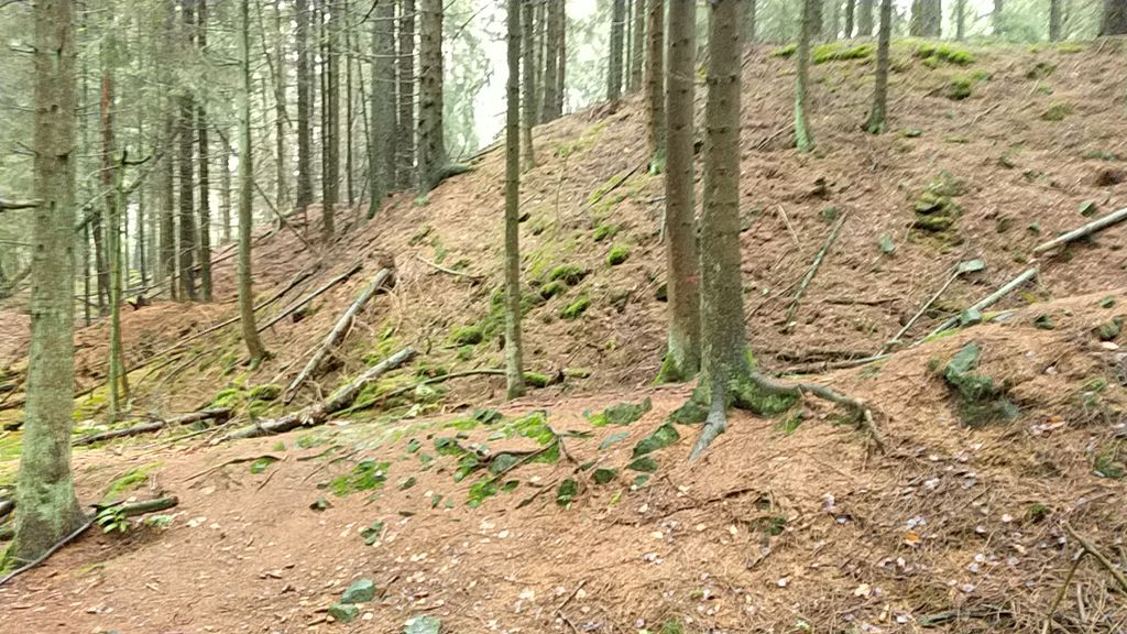 Schießstand 50m