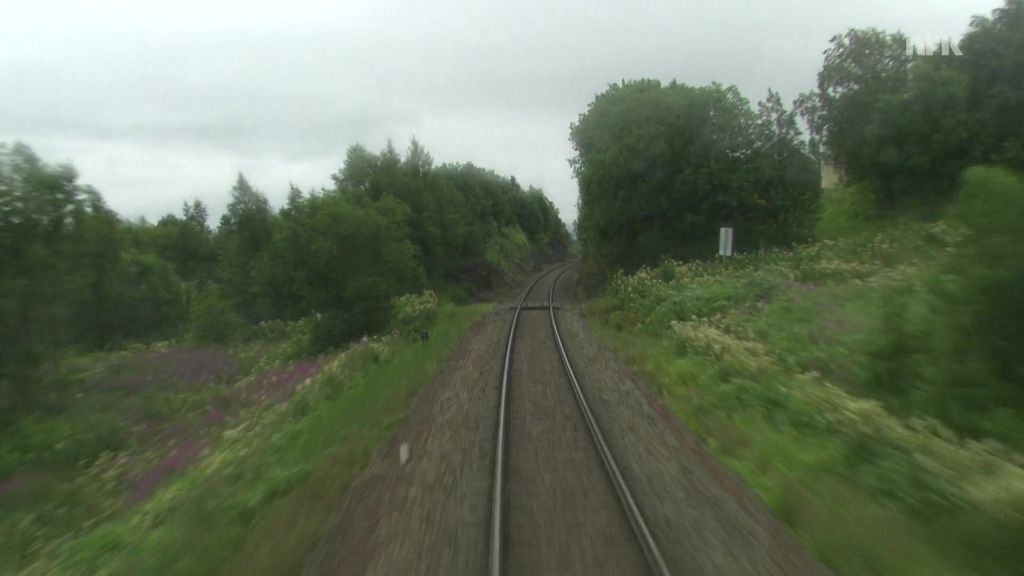 Skjånes railway halt